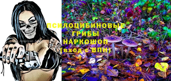мяу мяу мука Абаза