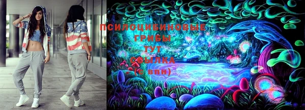 шишки Абинск