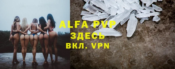 мяу мяу мука Абаза