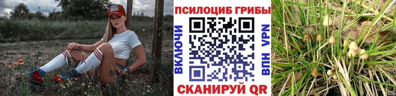 Галлюциногенные грибы Cubensis  даркнет сайт  Верхоянск 